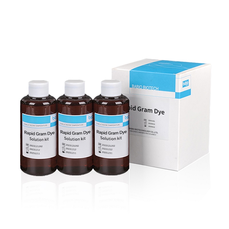 Sada Rapid Gram Dye Solution